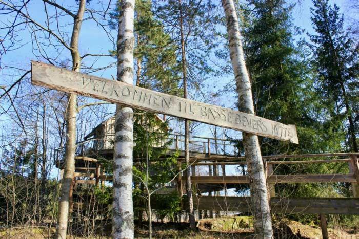Tretopphytter Pa Grensen - Beverhytta Med Robat Og Gjeddefiske Halden Ngoại thất bức ảnh